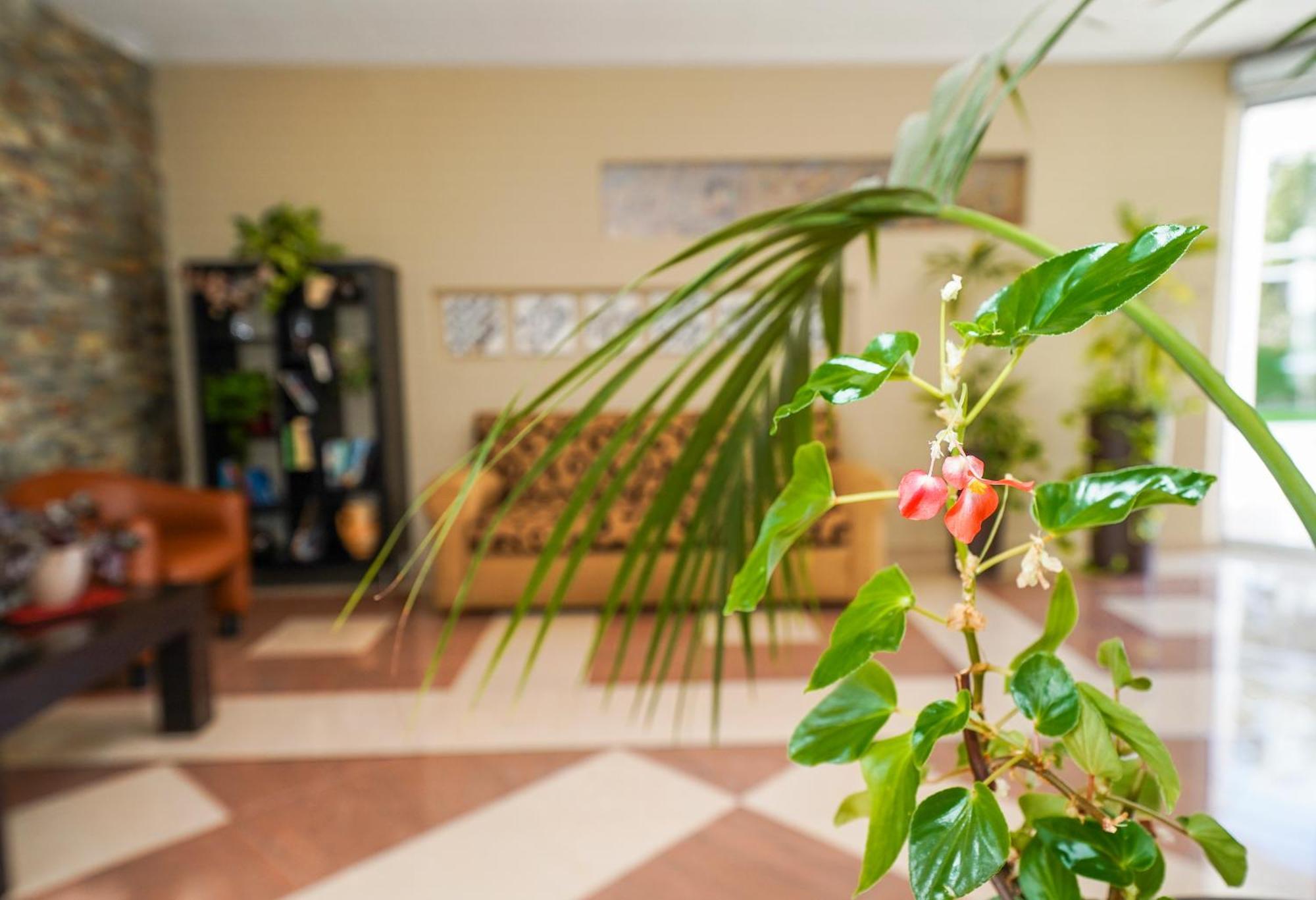 Hotel Pradillo Conil Conil De La Frontera Eksteriør billede